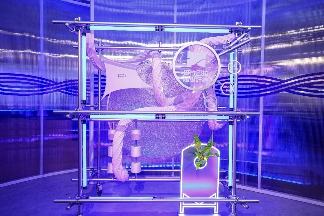 山骨藏“纤”“维”孕万物 | 巴拉巴拉超级纤维材料IP重磅发布(图6)