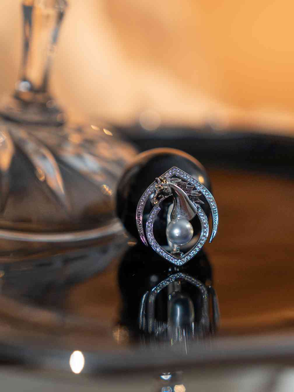 生肖珠宝邂逅现代美学，节日祝福跨越时间陪伴你-美派服饰网(图1)