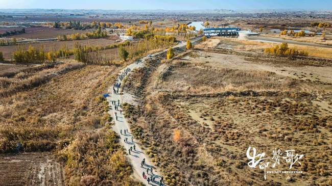 新疆尉犁胡杨林见证纺织精英挑战极限之旅-美派服饰网(图14)