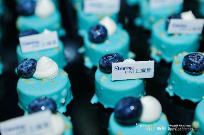 以数字之力架起中非贸易合作新桥梁 中非企业数字赋能交流会(图9)