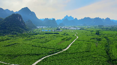 “南方丝巢×吕越” 时装发布会惊艳亮相中国国际时装周