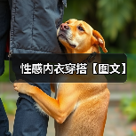 性感内衣穿搭【图文】（图3）