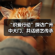 非遗传承与公益时尚共融新篇章-美派服饰网
