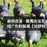 邂逅浪漫--番禺珠宝亮相广东时装周【城野牧歌】主题展(图4) 邂逅浪漫--番禺珠宝亮相广东时装周【城野牧歌】主题展(图4)