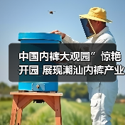 中国内裤大观园”惊艳开园 展现潮汕内裤产业多元风采与创新活力(图2) 中国内裤大观园”惊艳开园 展现潮汕内裤产业多元风采与创新活力(图2)