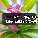 2025潍坊(诸城)纺织服装产业国际精准采购节即将启幕(图4) 2025潍坊(诸城)纺织服装产业国际精准采购节即将启幕(图4)