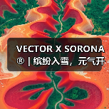 VECTOR X SORONA® | 缤纷入雪，元气开板！（图1）