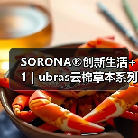 SORONA®创新生活+1 | ubras云棉草本系列家居服获评2024年度十大类纺织创新产品(图4) SORONA®创新生活+1 | ubras云棉草本系列家居服获评2024年度十大类纺织创新产品(图4)