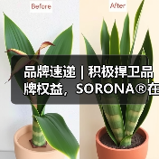 品牌速递 | 积极捍卫品牌权益,SORONA®在行动!(图2) 品牌速递 | 积极捍卫品牌权益,SORONA®在行动!(图2)