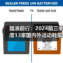 踏浪前行：2024前三季度13家国内外运动鞋服品牌财报盘点（图2）