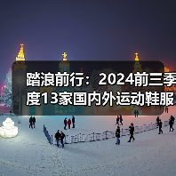 踏浪前行：2024前三季度13家国内外运动鞋服品牌财报盘点（图3）