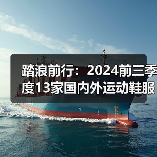 踏浪前行：2024前三季度13家国内外运动鞋服品牌财报盘点（图4）