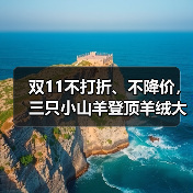 双11不打折、不降价，三只小山羊登顶羊绒大衣类目第一（图3）