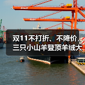双11不打折、不降价，三只小山羊登顶羊绒大衣类目第一（图4）