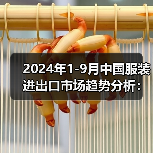 2024年1-9月中国服装进出口市场趋势分析：挑战与机遇并存（图2）