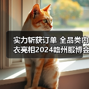 实力斩获订单 全品类内衣亮相2024赣州服博会（图1）