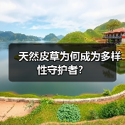 天然皮草为何成为多样性守护者？（图2）