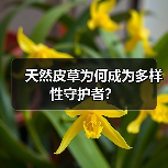 天然皮草为何成为多样性守护者？（图1）