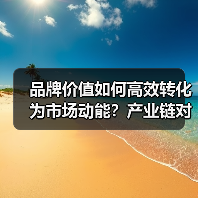 品牌价值如何高效转化为市场动能？产业链对接新路径揭秘！（图4）