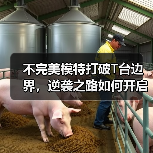 不完美模特打破T台边界，逆袭之路如何开启？（图1）