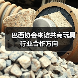 巴西协会来访共商玩具行业合作方向（图1）