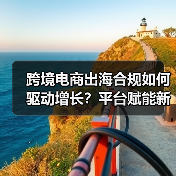 跨境电商出海合规如何驱动增长？平台赋能新路径解析（图2）