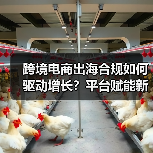 跨境电商出海合规如何驱动增长？平台赋能新路径解析（图3）
