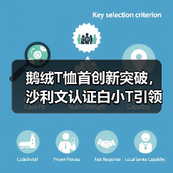 鹅绒T恤首创新突破，沙利文认证白小T引领科技时尚（图1）