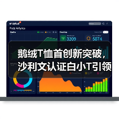 鹅绒T恤首创新突破，沙利文认证白小T引领科技时尚（图2）