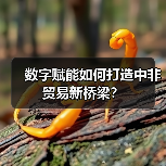 数字赋能如何打造中非贸易新桥梁？（图3）