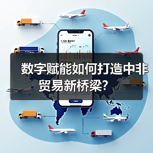 数字赋能如何打造中非贸易新桥梁？（图4）
