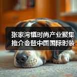张家湾镇时尚产业聚集推介会暨中国国际时装周秀演盛大启幕(图2) 张家湾镇时尚产业聚集推介会暨中国国际时装周秀演盛大启幕(图2)