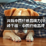 共筑中国纤维品牌力|华峰千禧・中国纤维品牌联动创享汇2025年度品牌发布会在京成功举办（图4）