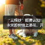 “三根纱”颠覆认知!永荣股份锦上添花,开启锦纶新征程(图3) “三根纱”颠覆认知!永荣股份锦上添花,开启锦纶新征程(图3)