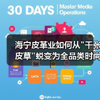 海宁皮革业如何从 海宁皮革业如何从