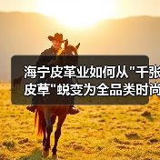 海宁皮革业如何从 海宁皮革业如何从
