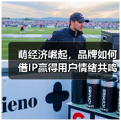 萌经济崛起：品牌联名IP如何撬动年轻消费者心智-辰飞雨美派服