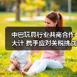 中巴玩具行业共商合作大计 携手应对关税挑战(图4) 中巴玩具行业共商合作大计 携手应对关税挑战(图4)