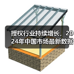 授权行业持续增长，2024年数据揭示IP消费新趋势-辰飞雨美