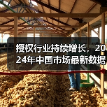 授权行业持续增长,2024年中国市场最新数据解析(图4) 授权行业持续增长,2024年中国市场最新数据解析(图4)