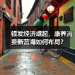 银发经济崛起,康养消费新蓝海如何布局?(图3) 银发经济崛起,康养消费新蓝海如何布局?(图3)