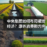 中免集团如何布局银发经济?康养消费新方向揭秘(图3) 中免集团如何布局银发经济?康养消费新方向揭秘(图3)