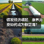 银发经济崛起,康养消费如何成为新蓝海?(图3) 银发经济崛起,康养消费如何成为新蓝海?(图3)