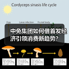 中免集团如何借首发经济引领消费新趋势？（图3）