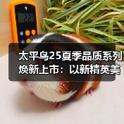 太平鸟25夏季品质系列焕新上市:以新精英美学重塑都市质感格调(图2) 太平鸟25夏季品质系列焕新上市:以新精英美学重塑都市质感格调(图2)