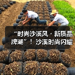 “时尚沙溪风・新质品牌潮”!沙溪时尚闪耀广东时装周(图3) “时尚沙溪风・新质品牌潮”!沙溪时尚闪耀广东时装周(图3)