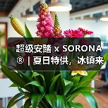 超级安踏 x SORONA® | 夏日特供,冰镇来袭!(图3) 超级安踏 x SORONA® | 夏日特供,冰镇来袭!(图3)