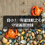 白小T――传递续航之心 守望美丽地球(图3) 白小T――传递续航之心 守望美丽地球(图3)