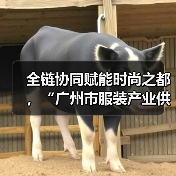全链协同赋能时尚之都,“广州市服装产业供需双百行动”正式启动(图4) 全链协同赋能时尚之都,“广州市服装产业供需双百行动”正式启动(图4)
