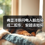 弗雷泽斯闪电入股彪马成二股东，安踏该如何应对？（图2）